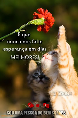tumblr_mqluli5ZH31r5jq8qo4_500.jpg