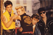 Stray Cats