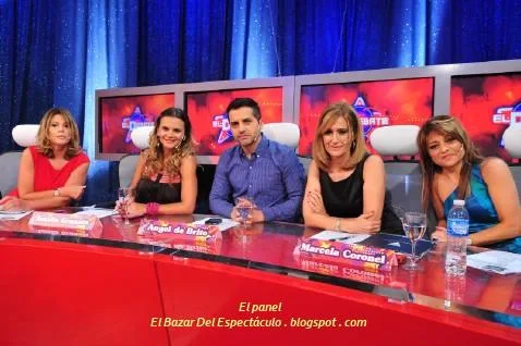 El panel.JPG
