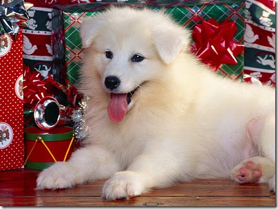 wallpapers%252520navidad%252520%25252816%252529_thumb