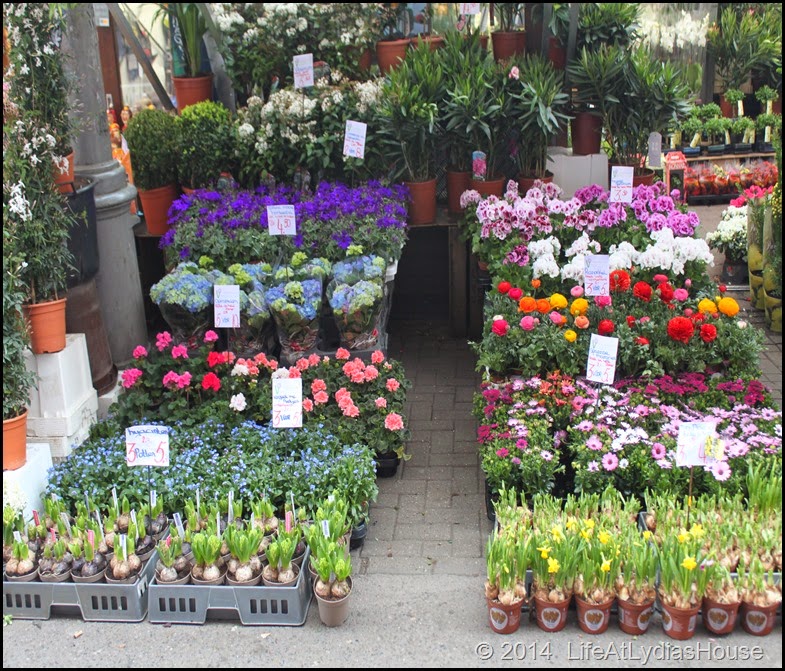 flower market 4