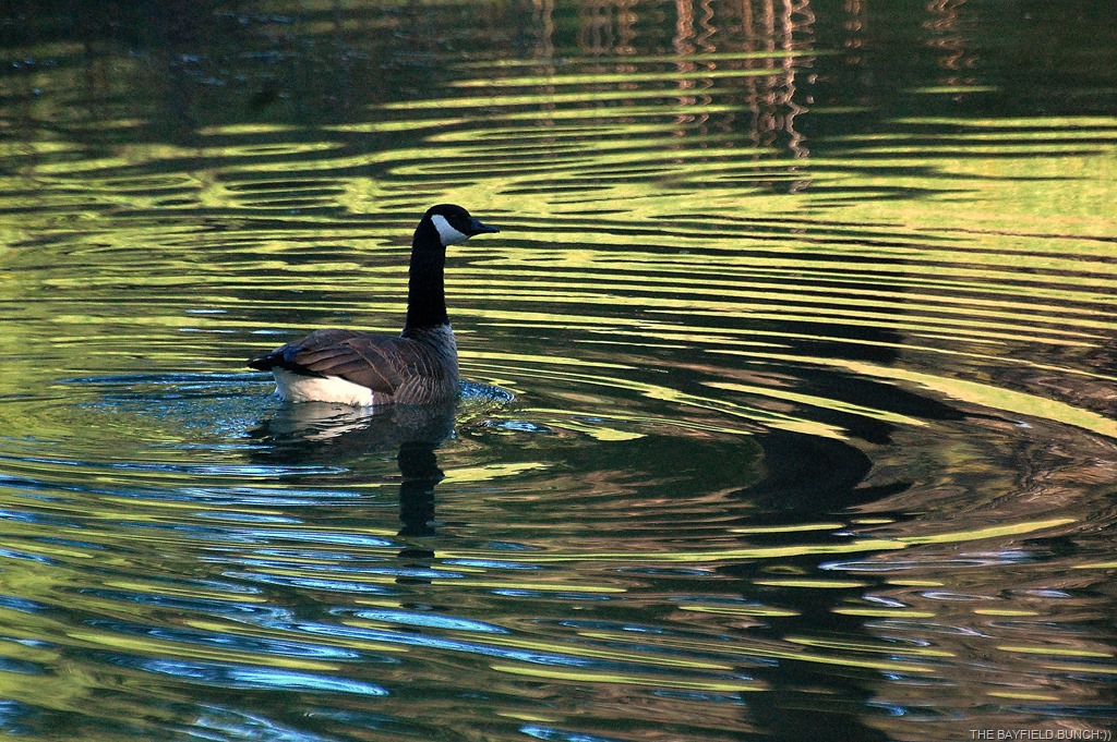 [DSC_6334%255B14%255D.jpg]