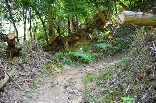 [140922073.jpg]
