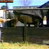 Sports Accidents  funny