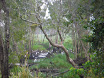Austr_404_11.11.2007.JPG