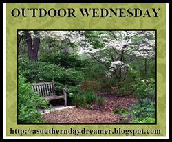 [Outdoor-Wednesday-button_thumb1_thum%255B1%255D.png]