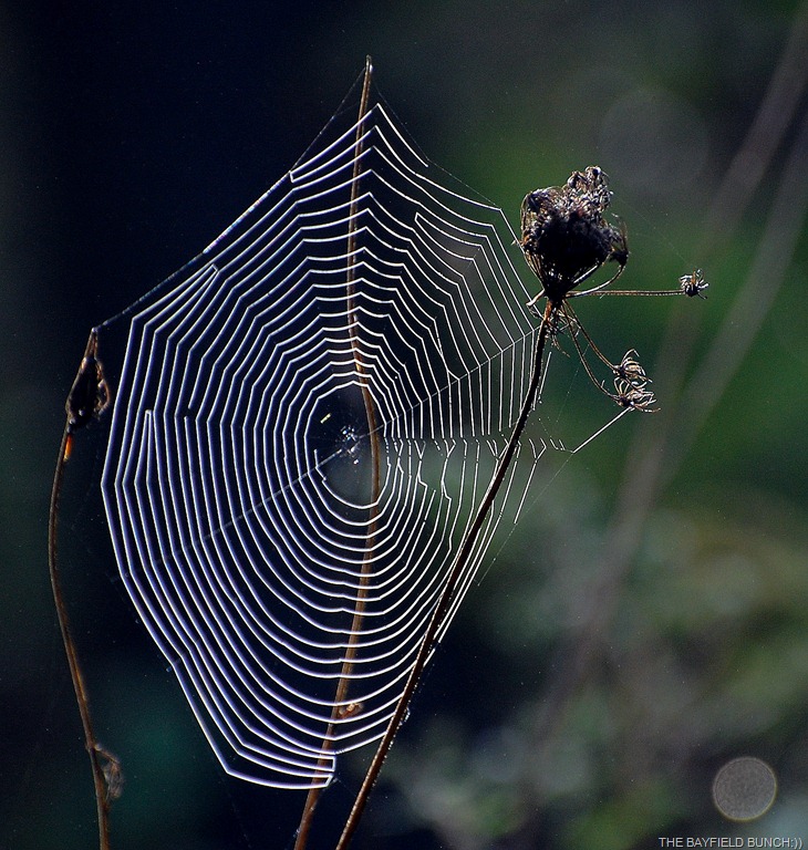 [DSC_8510%255B4%255D.jpg]