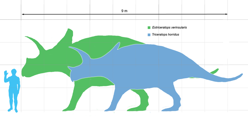 [1200px-Eotriceratops_scale3.png]