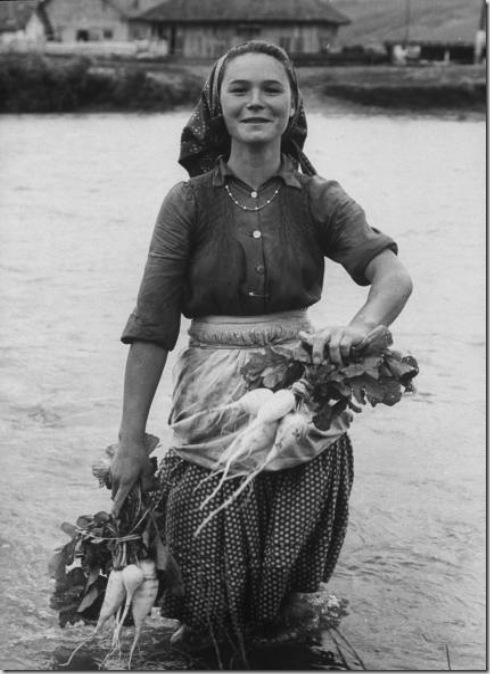 Girl farm worker washing turnips from river, on collective farm, Romania, 1973