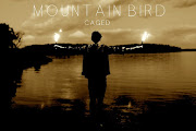 Mountain Bird