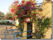 IMG_5694 IMG_5694