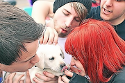Paramore