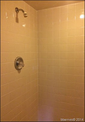 Shower at Darlington 11092014