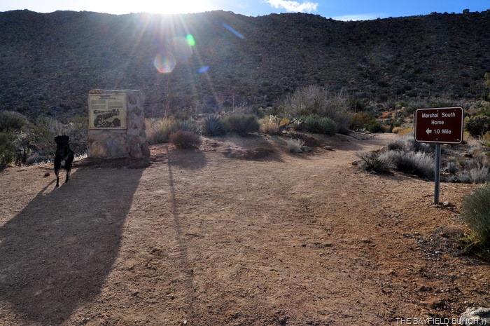 [DSC_0039%255B4%255D.jpg]