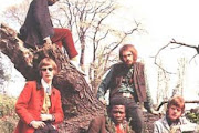 Savoy Brown