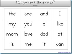 You Can Read Sight Words Word Count Assessment1