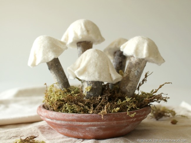 Felt & White Birch Mushrooms via homework (2)