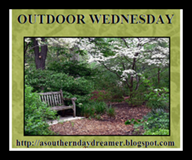 [Outdoor-Wednesday-logo_thumb4_thumb1%255B1%255D.png]