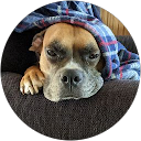 Barbaras profile picture