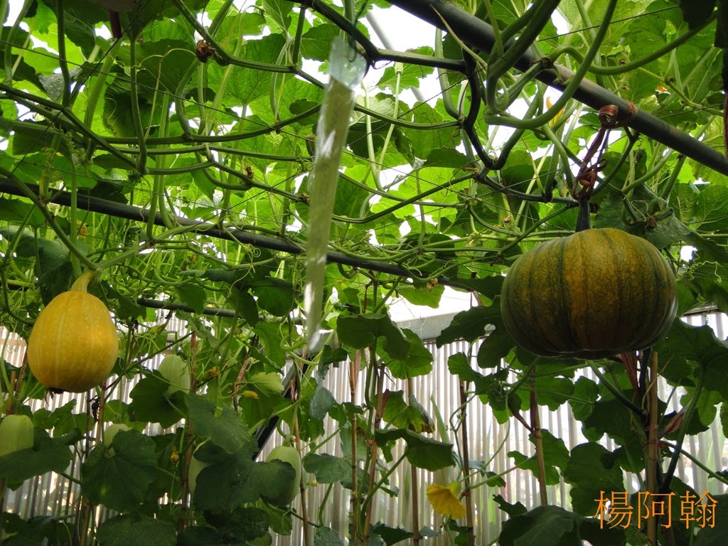 [1119%2520025%2520-%2520%25C3%25B0-%25C2%25B0%253E%25C2%25B1w%255B9%255D.jpg]