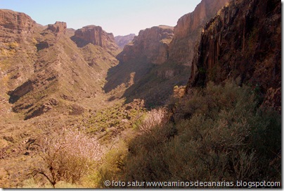 3608 Roque Cofre-Taiguy 3608 Roque Cofre-Taiguy