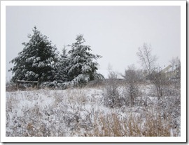 20120113_snow-day-outside_021