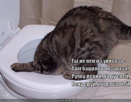 [clip_image008%255B4%255D.jpg]