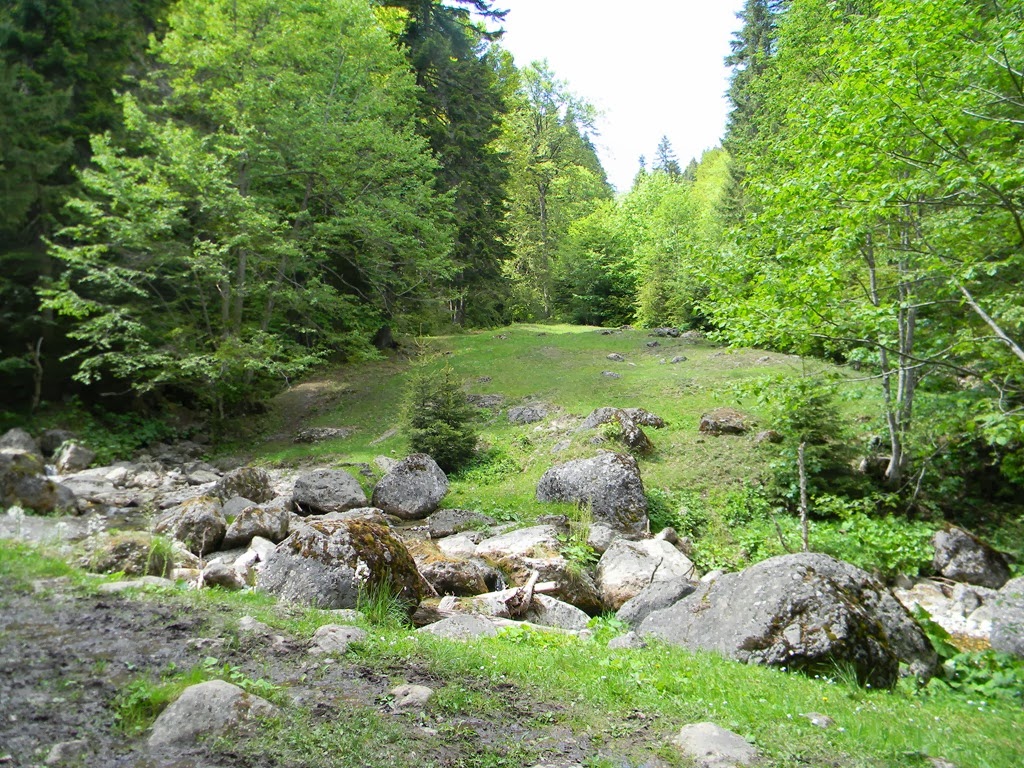 [DSCN99123.jpg]