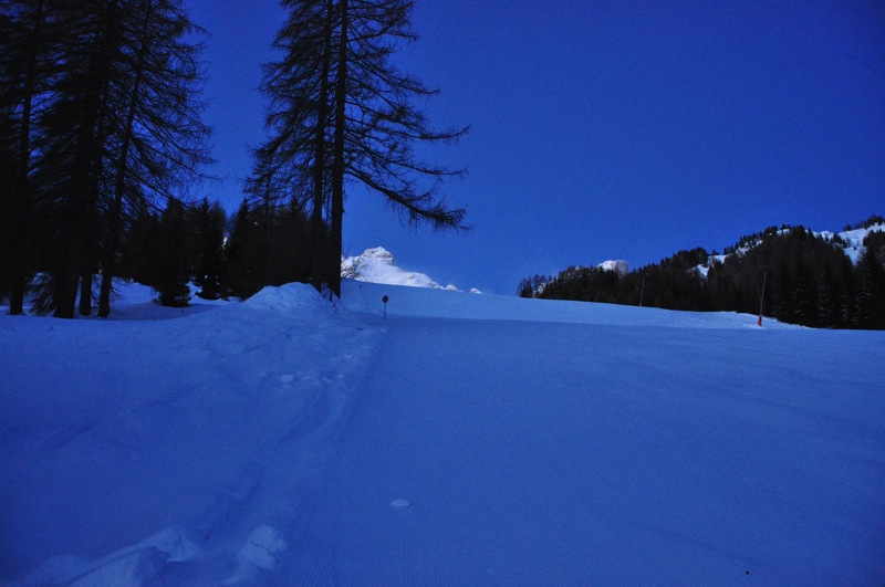 DSC_6599.JPG DSC 6599