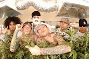 Kottonmouth Kings