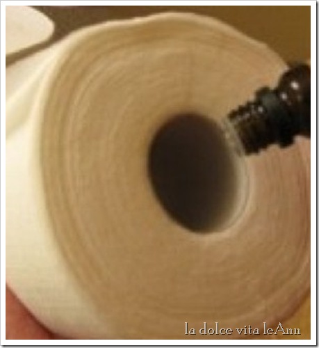 toilet paper roll essential oils