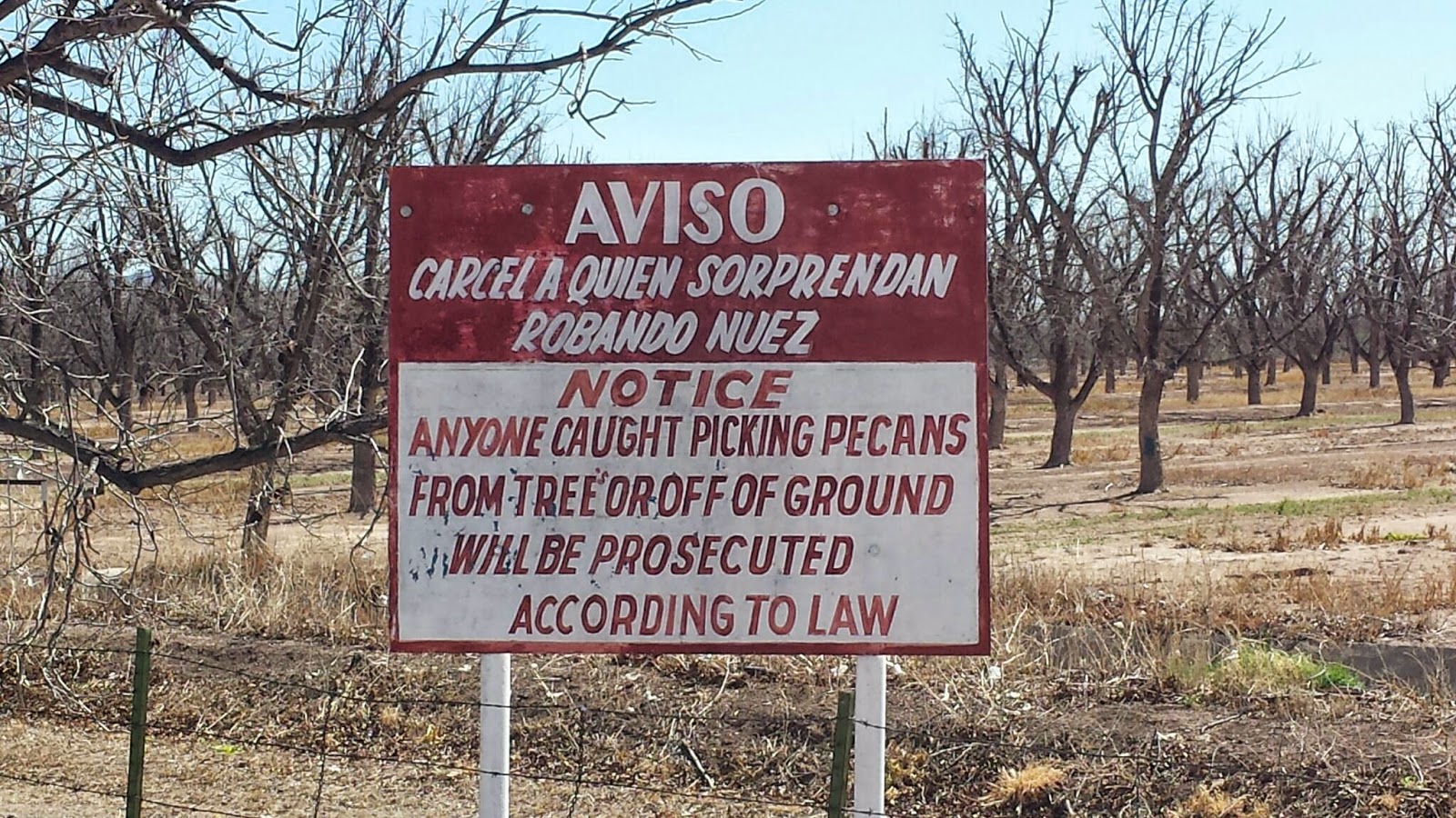 A Front Seat View El Paso to Fort Hancock