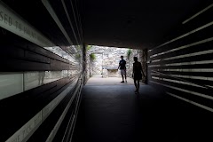IMG_6612.jpg