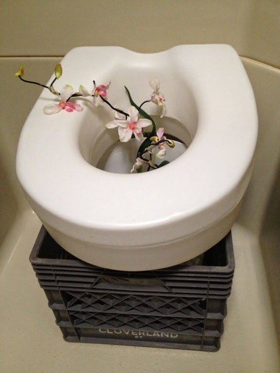 [fancy-bucket-toilet4.jpg]