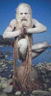 Sadhu nudo con capelli e barba mai tagliati in equilibrio (picc.)