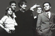 Pulp