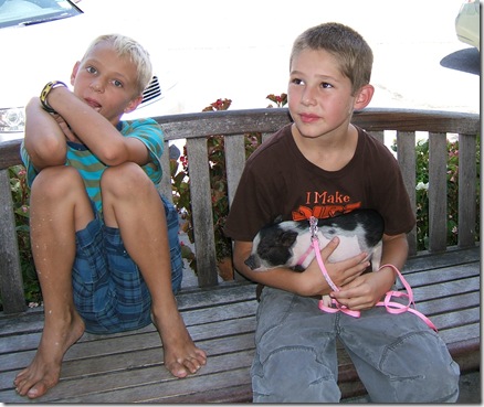 Cole is holding Diva, the pet pig