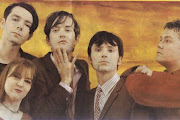 Pulp
