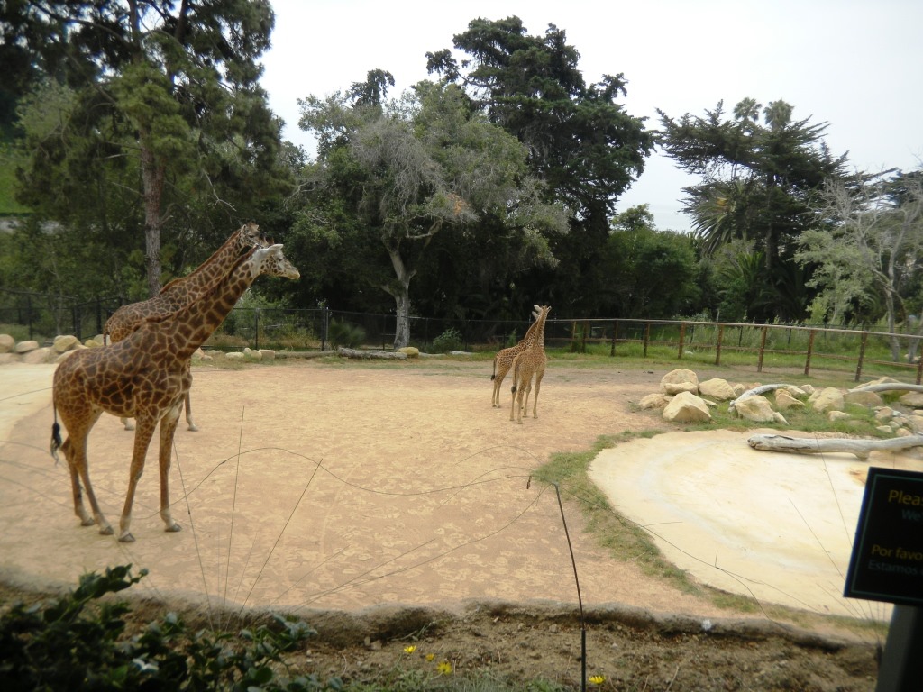 [DSCN5536%2520-%2520Kopie%255B4%255D.jpg]