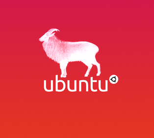 [Ubuntu%252014.04%2520LTS%2520Trusty%2520tahr%255B3%255D.png]