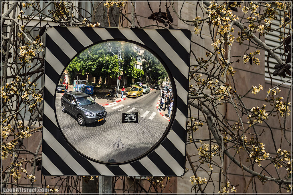 Отражения Израиля | LookAtIsrael.com - Фото путешествия по Израилю