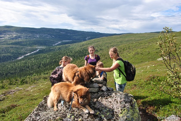 Bukollen 013 Bukollen 013