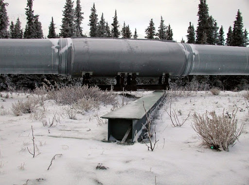 Alaskan Pipeline Dildo