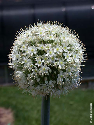 [image%255B57%255D.png]