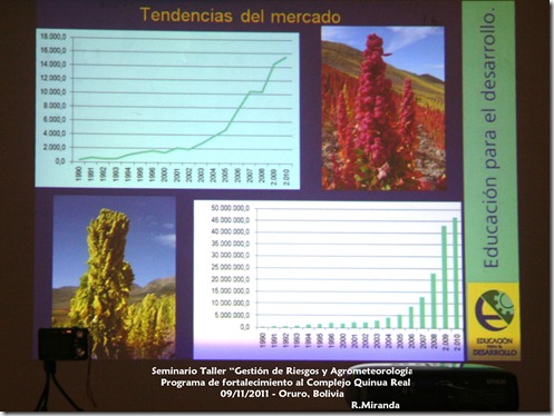 Tendencias del Mercado de la Producción y Exportación de la Quinua Real_R.Miranda