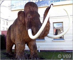 Existirão mamutes clonados a partir da medula dentro de 5 anos
