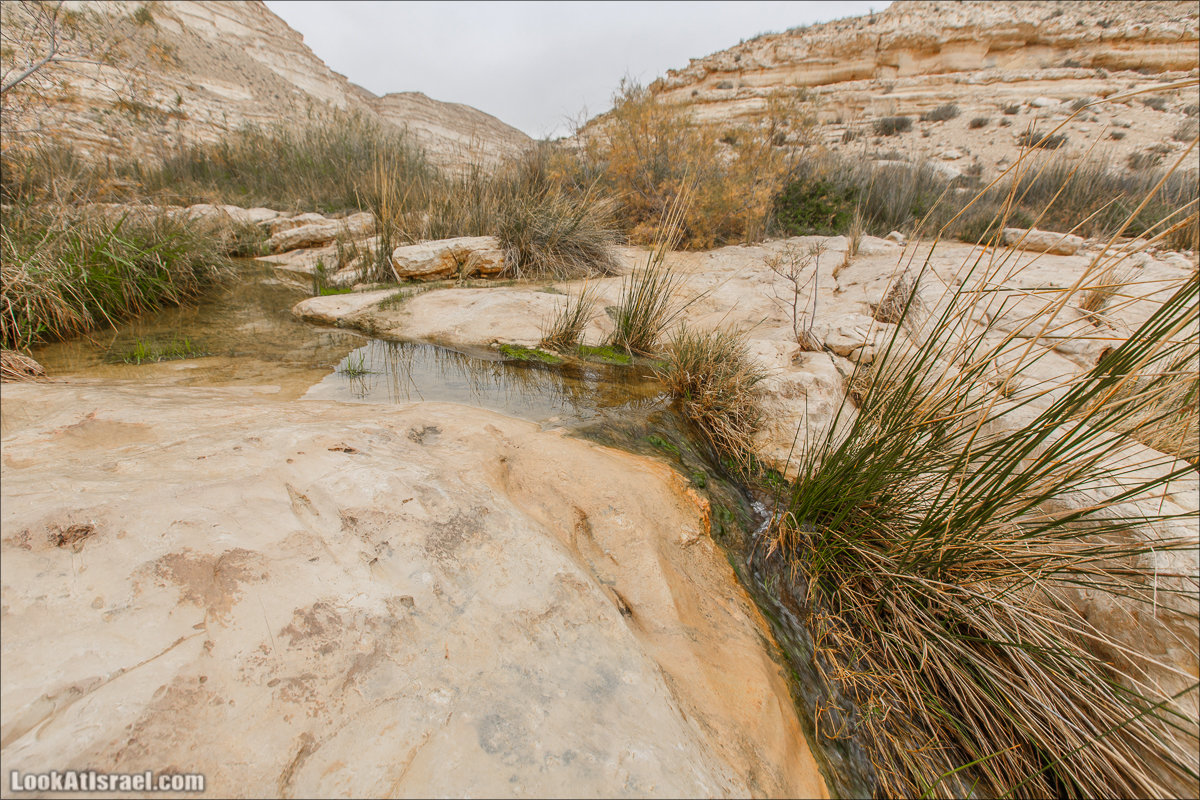 Ручей Акев и источник Эйн Акев в пустыне Негев. LookAtIsrael.com - Фото путешествия по Израилю