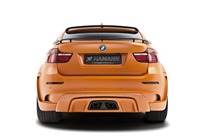 Hamann-Tycoon-1