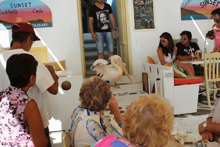 06. Pelicanul din Mykonos.JPG