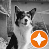 Samo Željka Avatar